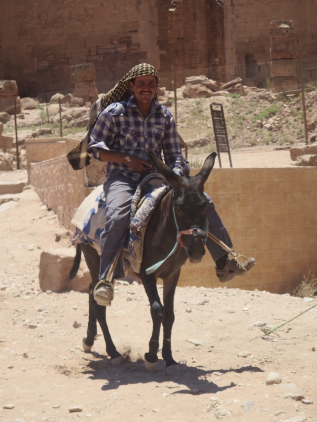 Donkey for hire for a ride in Petra